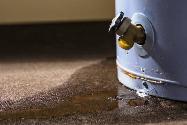 Best Water damage contractors near me  in Cridersville, OH