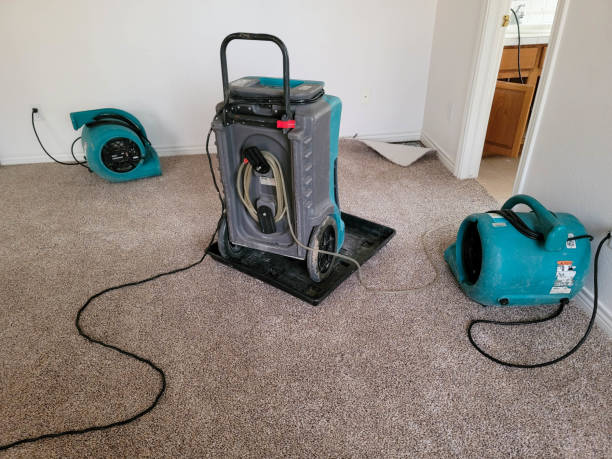 Trusted Cridersville, OH Water damage restoration Experts