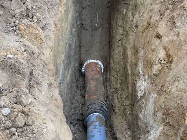 Best Flood damage cleanup  in Cridersville, OH