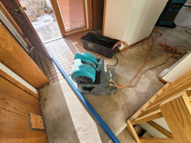 Water damage restoration experts in Cridersville, OH