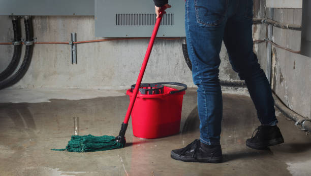 Best Professional water damage repair  in Cridersville, OH