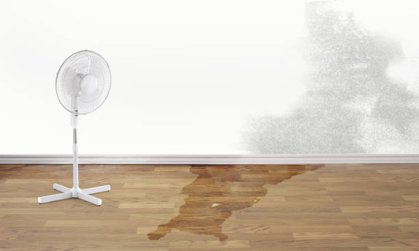 Best Residential water damage restoration  in Cridersville, OH