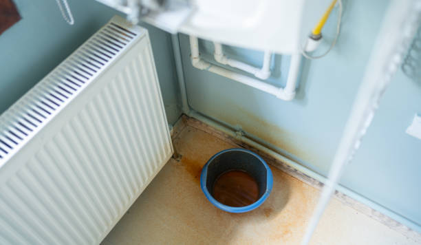 Best Water damage restoration process  in Cridersville, OH