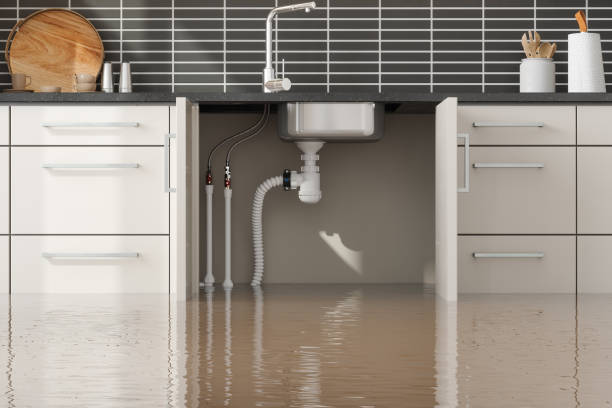 Reliable Cridersville, OH Water damage restoration Solutions