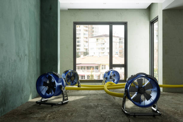 Best Emergency water damage restoration  in Cridersville, OH